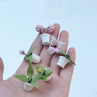 1:12娃娃屋dollhouse家具袖珍摆件迷你小多肉植物花室内装饰配件