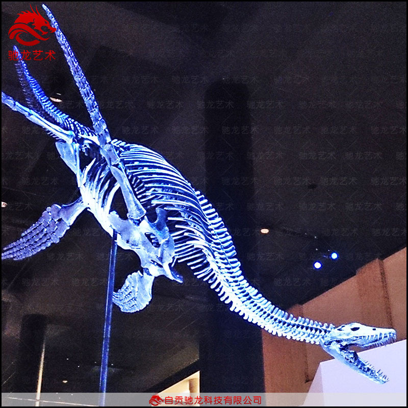 仿真蛇颈龙鱼龙骨架化石大型古生物骨骼化石复原标本模型定制