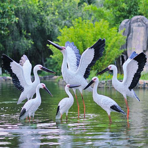 户外仿真白鹤雕塑白鹳摆件玻璃钢水池塘装饰景观仙鹤花园白鹭模型