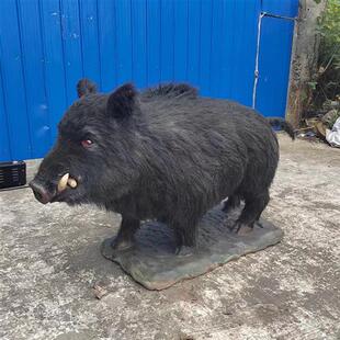 博物馆展会展览模型出售租赁公园乐园户外希腊动物野猪