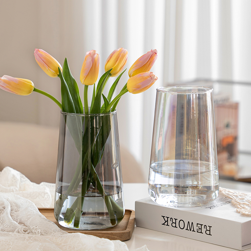 简约玻璃花瓶水培插花客厅摆件