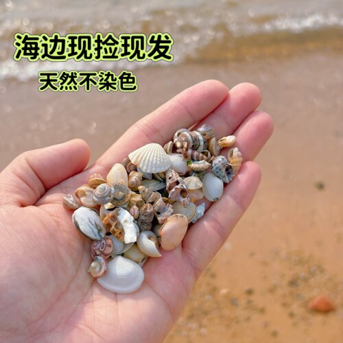 纯天然猫眼螺现捡现发可视频