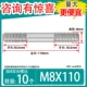 M8*110 [10]
