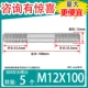 M12*100 [5]