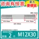 M12*30 [2]