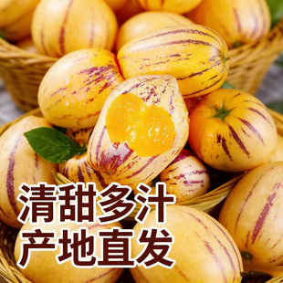 甘肃民勤人参果新鲜多汁水果黄肉低糖自然熟应季精品瓜果产地直发