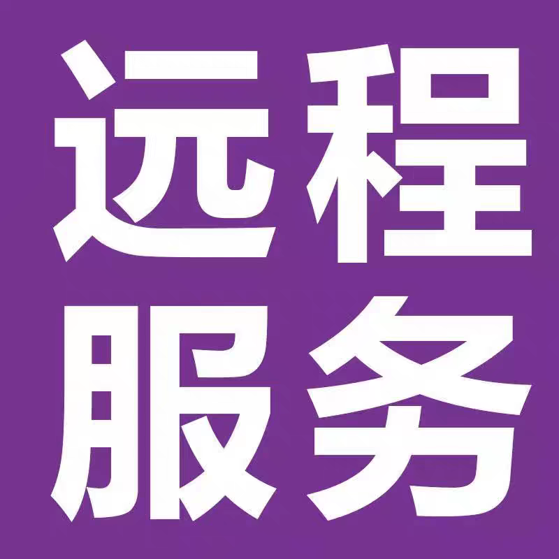 国外电脑远程服务费补差  人工在线 远程包安装