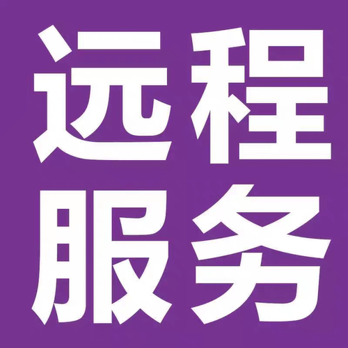 国外电脑远程服务费补差  人工在线 远程包安装