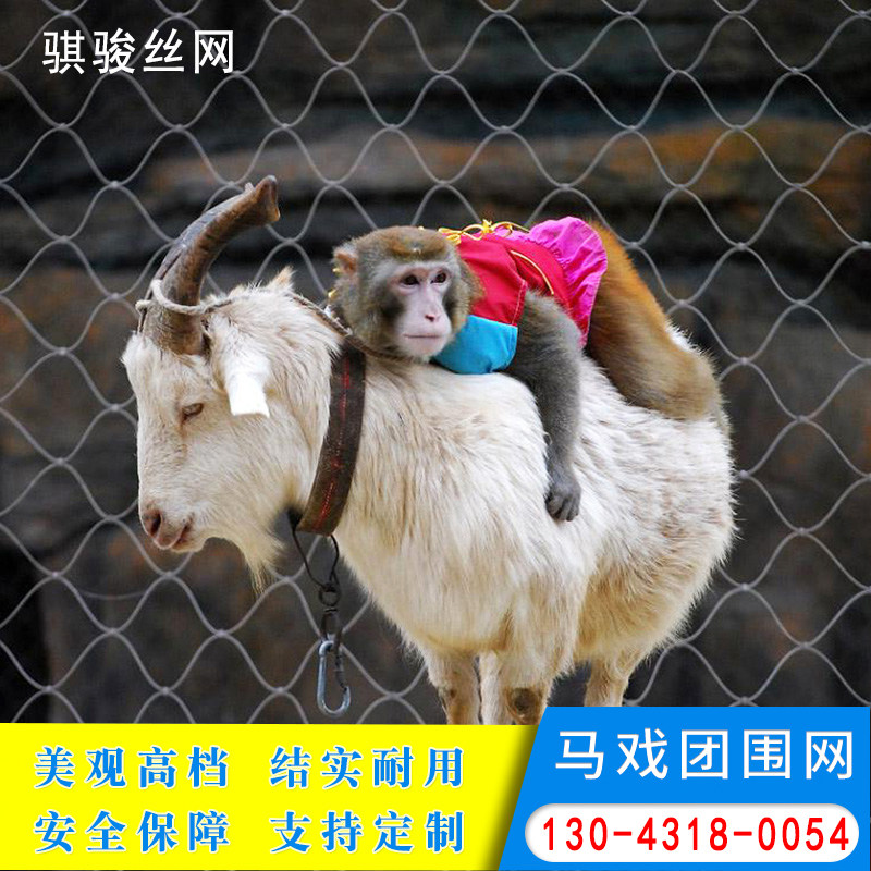 马戏团围网钢丝绳网不锈钢防护网马戏团防护网动物园笼舍安全保护