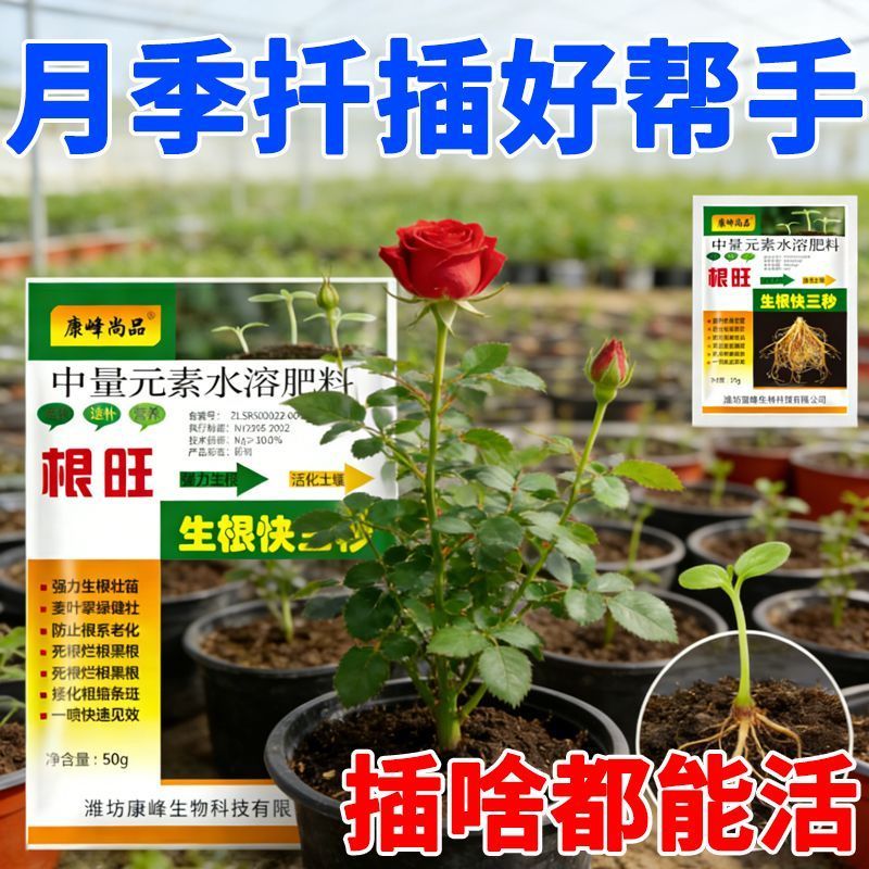 月季玫瑰专用生根液生根剂扦插枝条插花育苗生根爆根护根绿叶专用