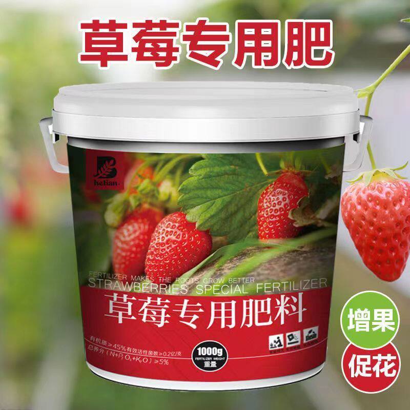 草莓肥料专用肥有机肥花卉绿植花苗通用通用型颗粒缓释肥包盆栽