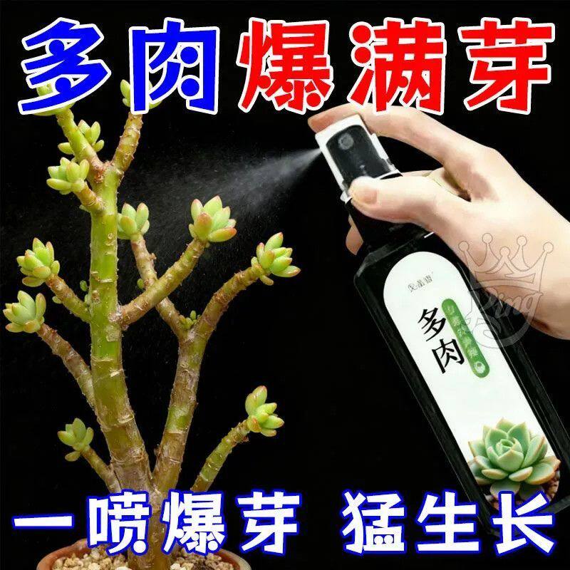 多肉肥料专用营养液增色增肥爆芽肥防徒长家用植物正品专用老鼠夹