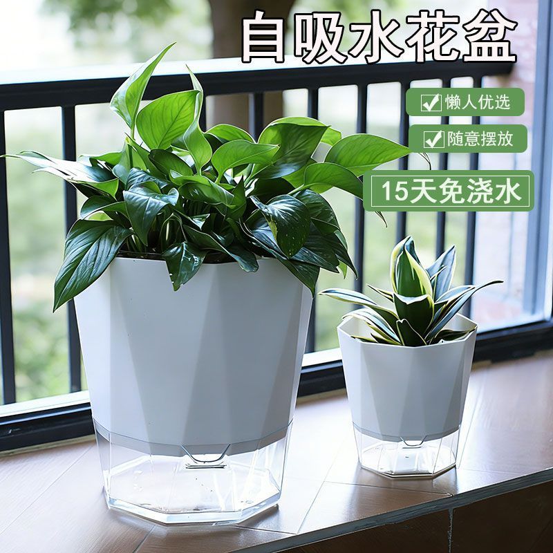 懒人自动吸水花盆特大号绿萝蝴蝶兰塑料水培花盆绿植盆栽家用阳台