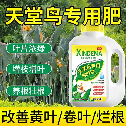 天堂鸟专用营养液肥料预防黄叶烂叶卷边盆栽植物花肥家用液体肥