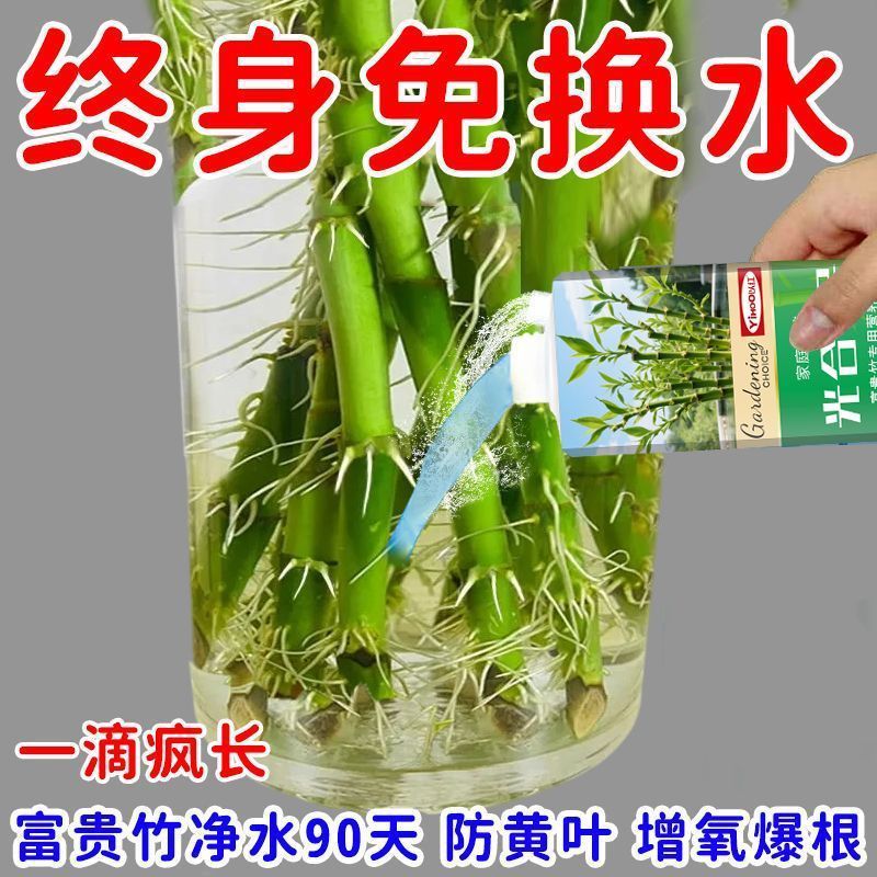 富贵竹爆根防黄叶营养液生长专用促生根液水培植物肥料快速生根