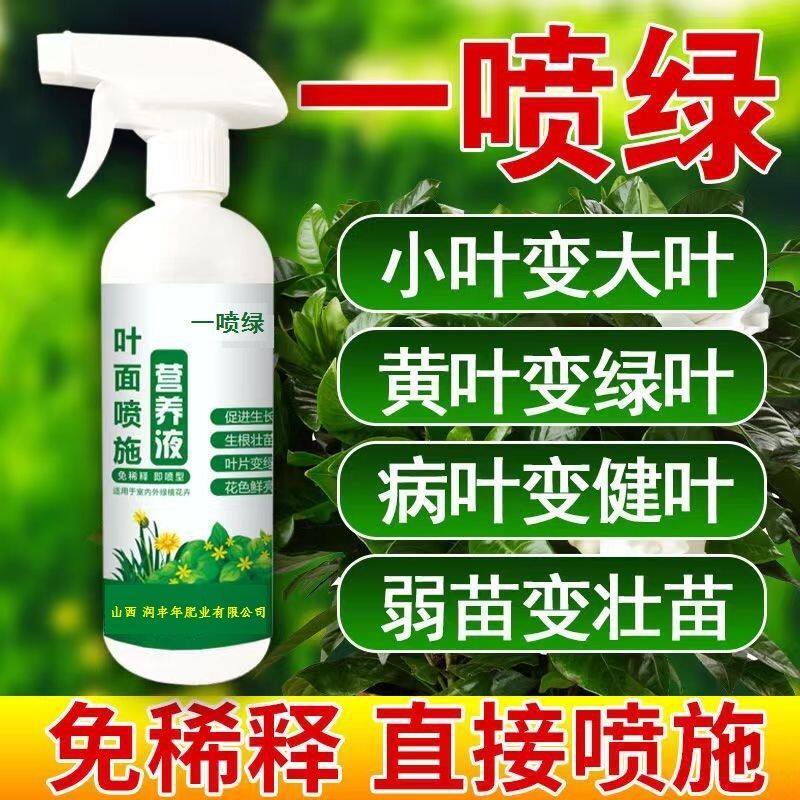 植物营养液通用型一喷绿绿萝绿叶素正品发财树养花叶面喷施喷施