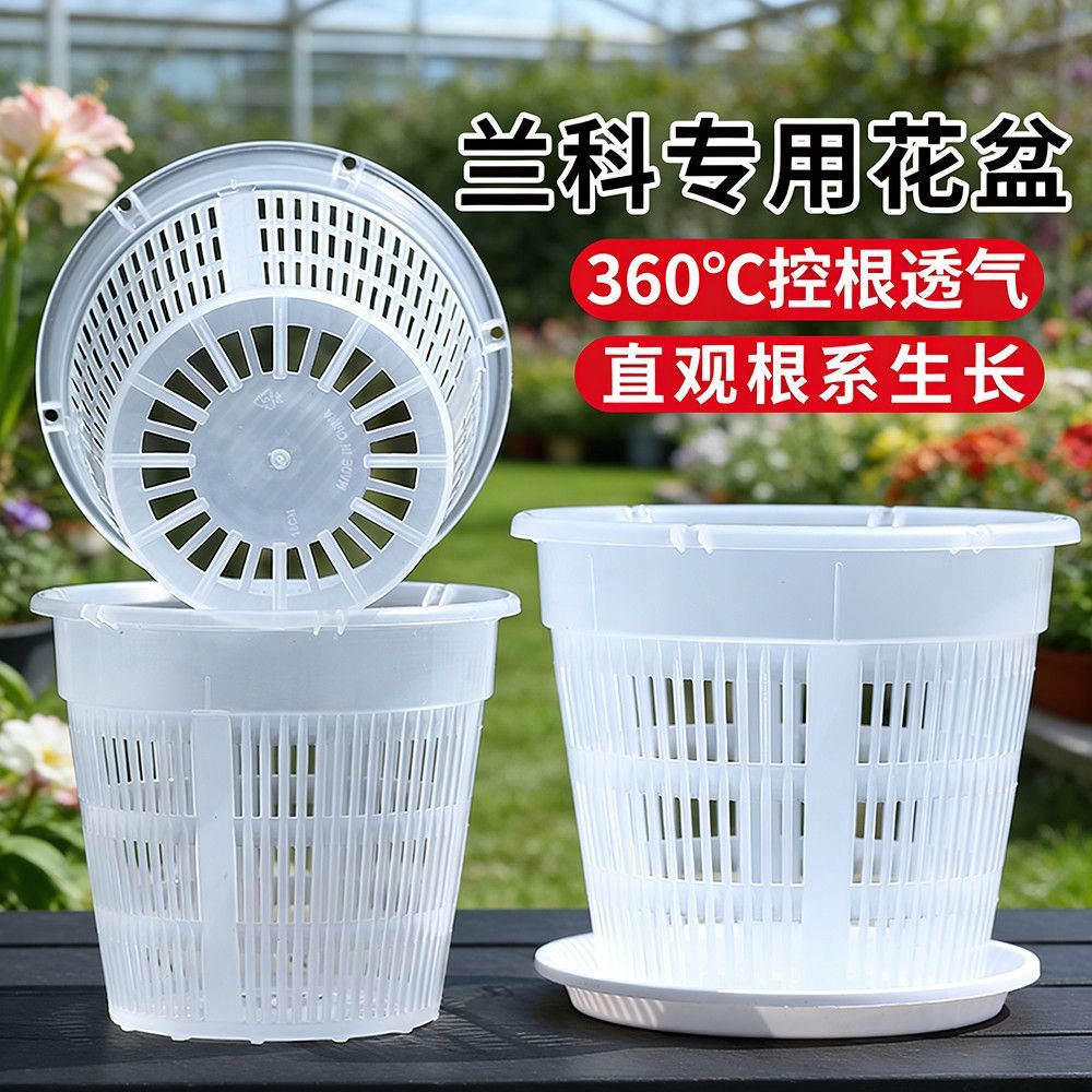 新款网状蝴蝶兰专用花盆透气防烂根控根盆透明青山盆兰花花盆家用
