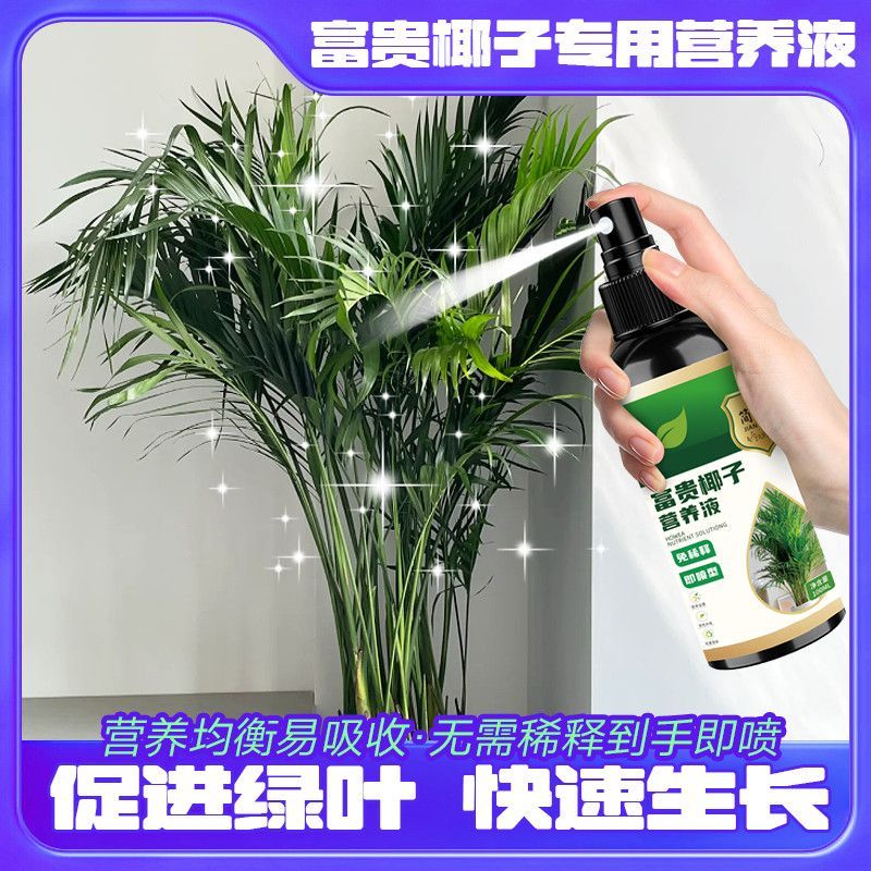 富贵椰子专用一喷绿营养液生根黄叶室内绿叶稀释干尖家用园艺有机