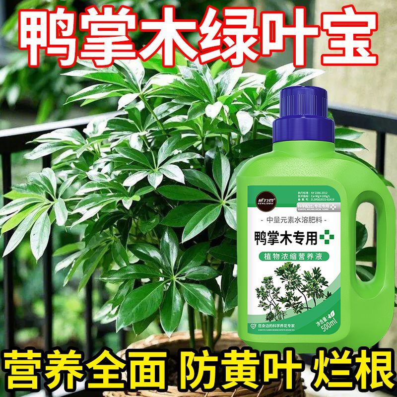 鸭掌木浓缩专用肥料营养液花肥盆栽家用养花生根植物花卉通用肥