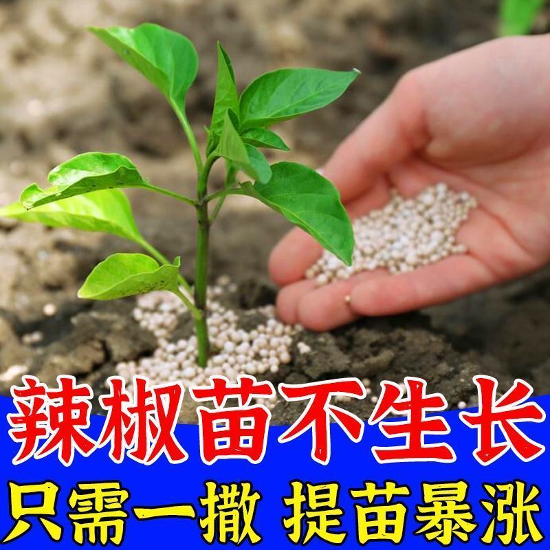 辣椒提苗爆长辣椒生根剂壮苗促长猛生根死苗猝倒枯萎专用增产肥料
