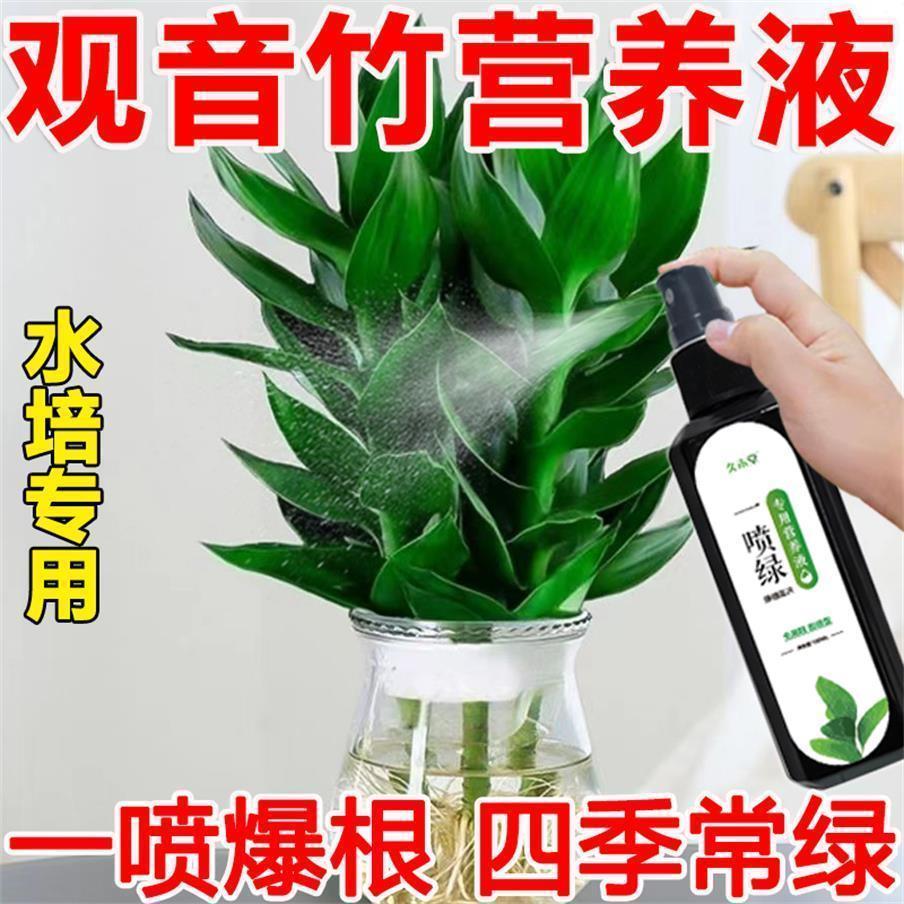观音竹水培营养液一喷绿预防黄叶烂根生根水养通用爆芽素预防烂根