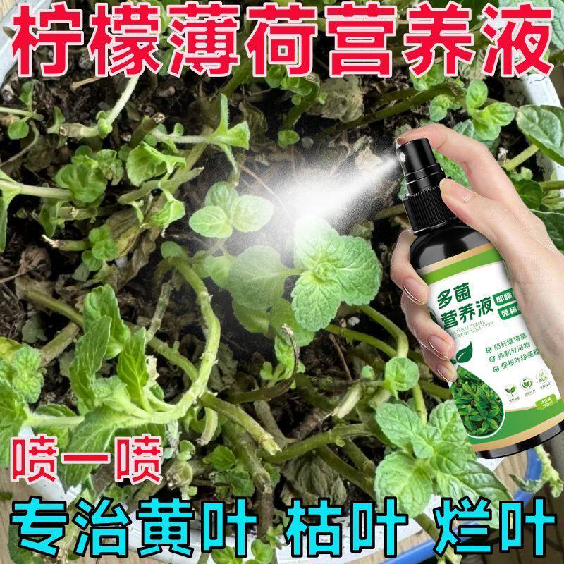 柠檬薄荷专用营养液家用盆栽养花种花卉绿植物水培土培通用肥料