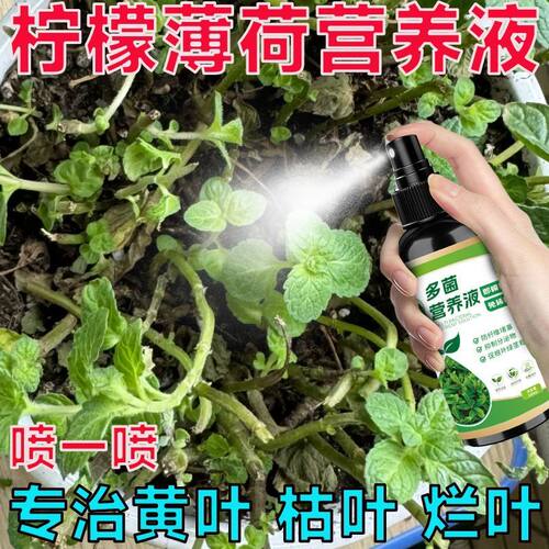 柠檬薄荷专用营养液家用盆栽养花种花卉绿植物水培土培通用肥料