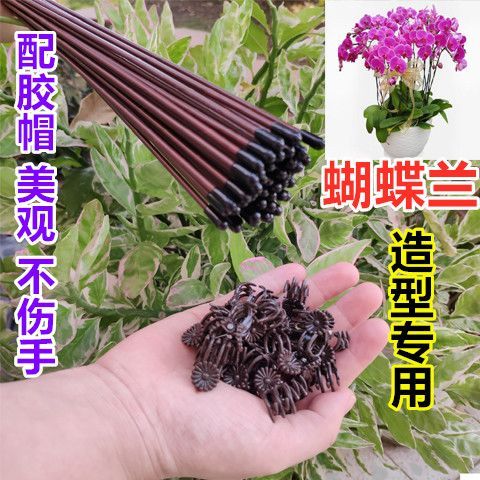 蝴蝶兰花支架兰夹子支撑杆植物爬藤花卉固定绿植花支架园艺兰花夹