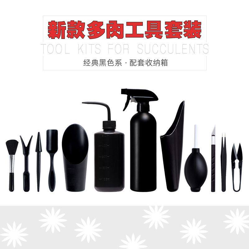 多肉园艺工具套装新款全套肉肉种植专用一整套新手日式三件套收纳