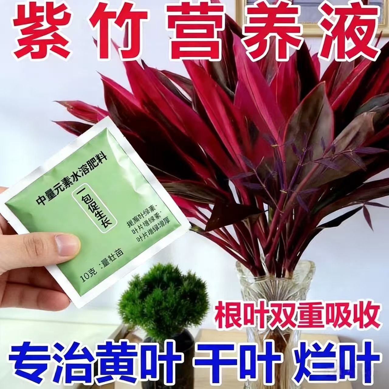 2026款紫竹专用营养液家用盆栽养花种花卉绿植物水培土培通用肥料
