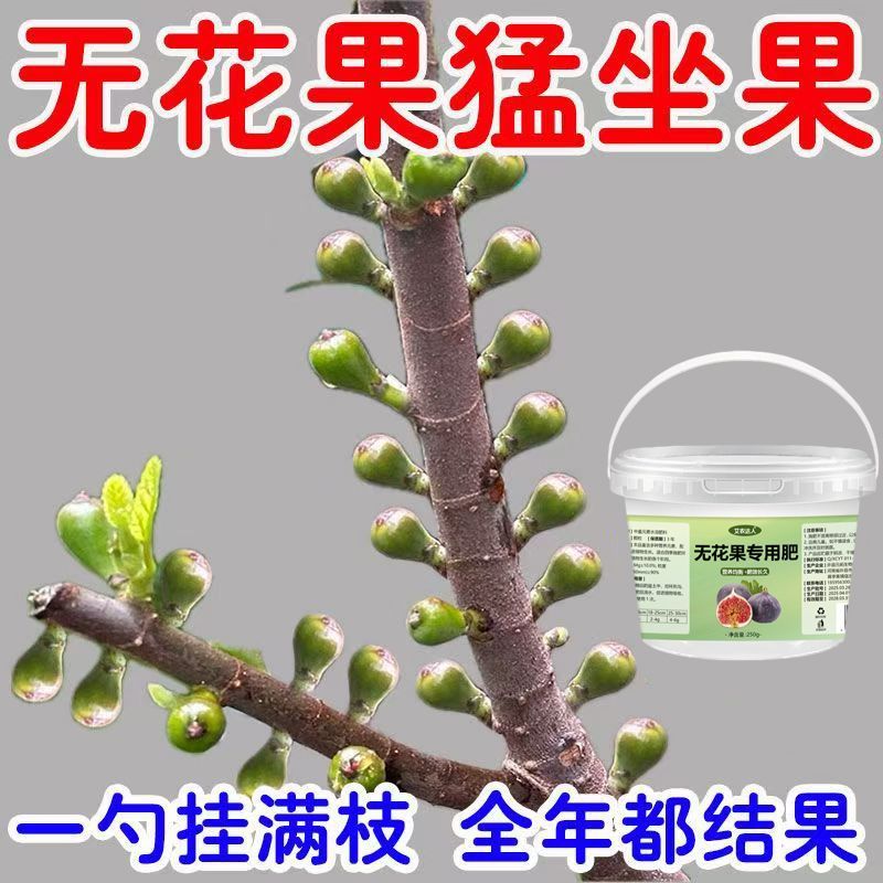 无花果肥料专用肥催发芽催花坐果灵果树颗粒缓释肥营养均衡高端