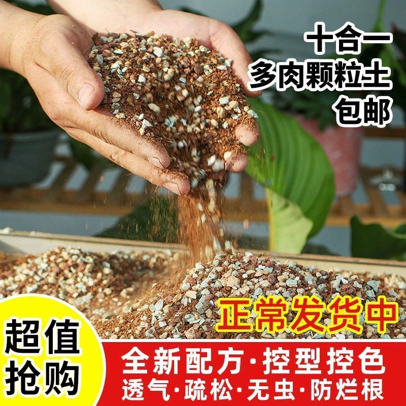 2026多肉颗粒土通用营养土盆栽植物专用土壤透气换盆土多肉土控型
