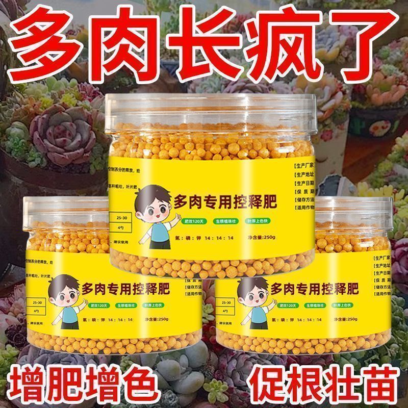 多肉控释肥爆盆增肥多肉营养液有机家庭园艺控释肥多肉肥料专用肥