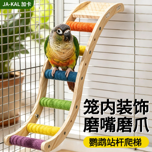 鹦鹉玩具解闷自嗨笼内装饰大全