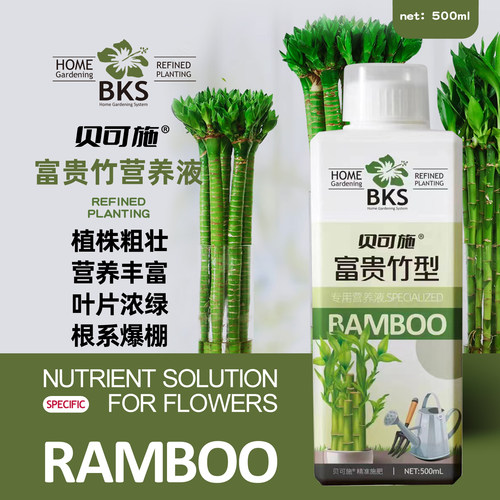 贝可施营养液富贵竹专用