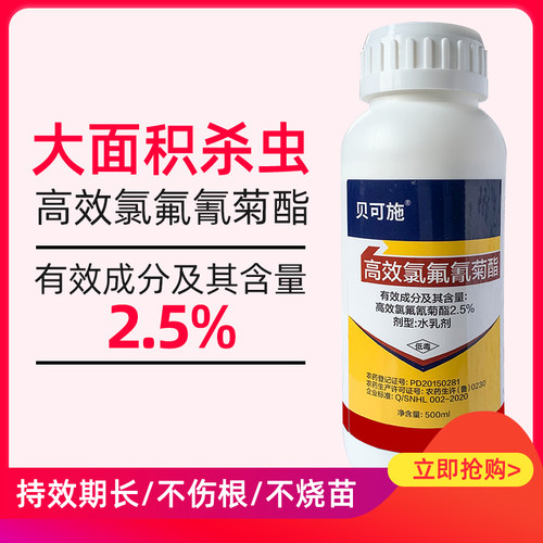 贝可施高效氯氟氰菊酯花卉杀虫剂