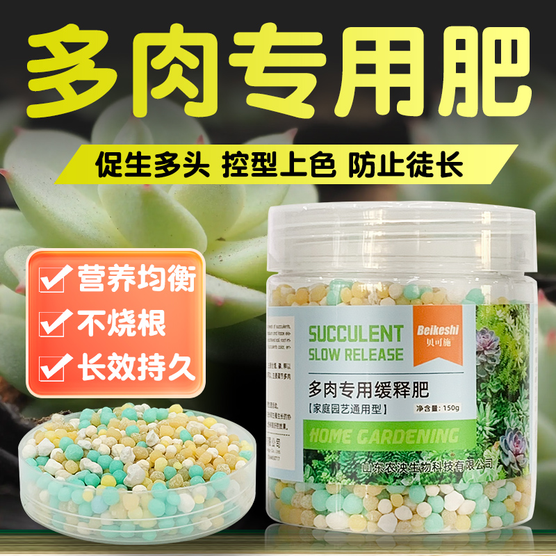 贝可施多肉专用缓释肥长效又安全