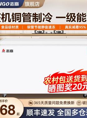 志高228/330升冰柜家用商用全冷冻柜大容量一级能效风冷无霜冷柜