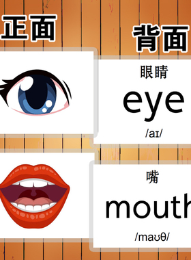 英语汉字拼音卡片身体部位闪卡 幼儿园儿童单词早教认知教师教具