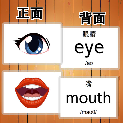 英语汉字拼音卡片身体部位认知