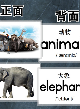 动物英文认知卡片幼儿英语识汉字教师具单词闪卡儿童早教益智玩具