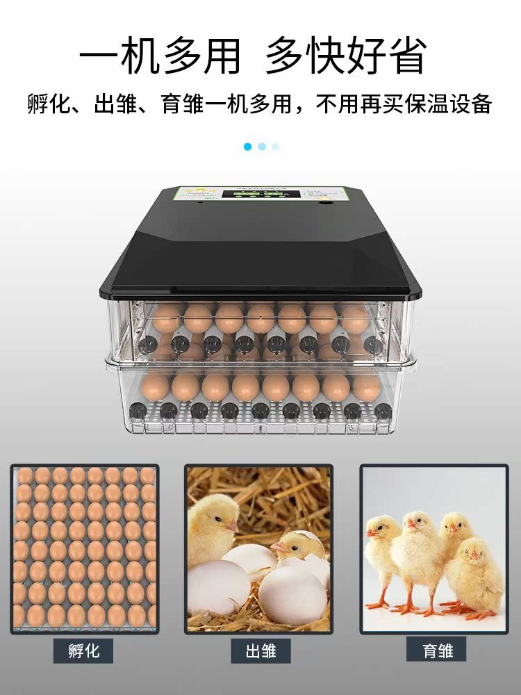 小鸡呼化器孵化器水床泡沫箱温控孵化器小鸡蛋孵化箱鸡鸭鹅孵蛋器在类目 五金/工具, 仪器仪表, 电热工具中 - 来自Buy2taobao.com提供专业的淘宝代购服务