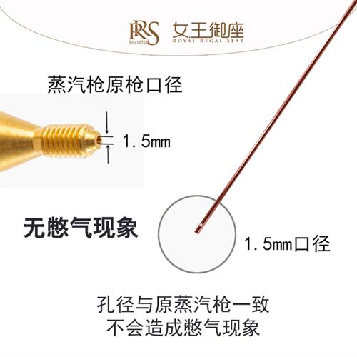 蒸汽机清洗水箱散热器专用管蒸气洗车机清洗冷凝器喷管工具轿货车