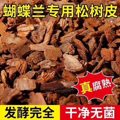 云南松树皮发酵腐熟兰科植料松鳞兰花专用土君子蝴蝶兰花石斛铺面