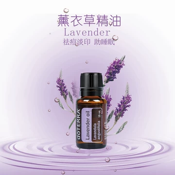 Khoan đầy đủ 88 vận chuyển doTERRA Dotray bạc hà đơn tinh dầu 15ml - Tinh dầu điều trị