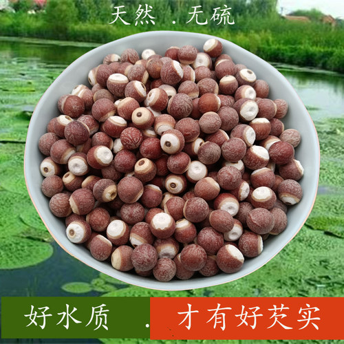云南哀牢农家天然无硫野生小芡实