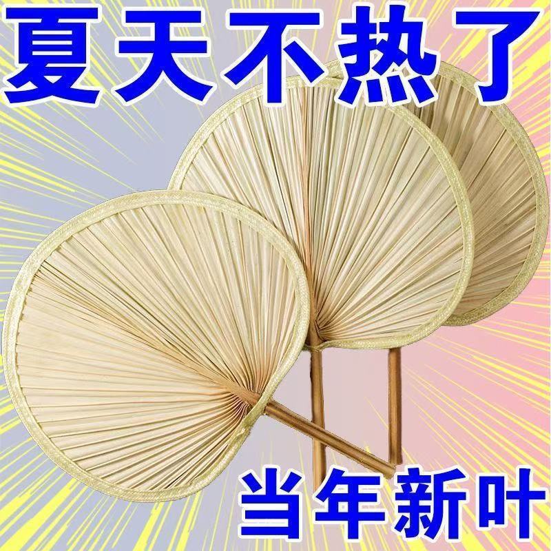 扇子芭蕉扇纳凉中式大蒲扇蒲草烧烤扇济公扇绘画扇棕叶夏季扇