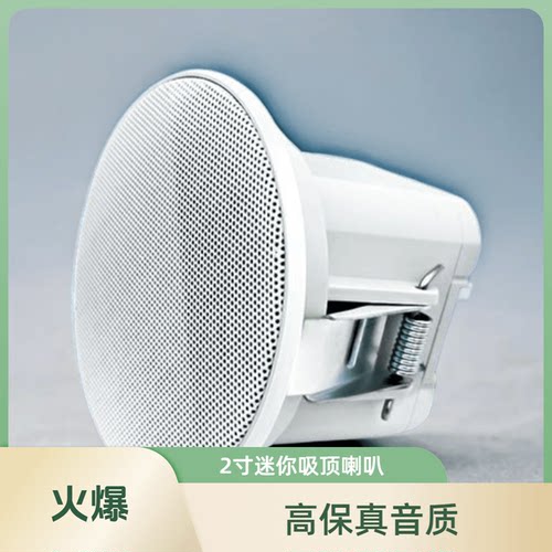 防水天花开孔2寸嵌入式扬声器