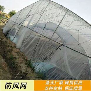 新款大棚防护网吊秧爬藤货物种植大棚防风网尼龙网大孔防风网封垛