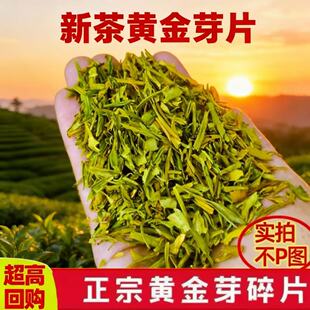 【大份量】明前高档黄金芽大碎片2026新茶高碎浓豆香耐泡型黄金芽